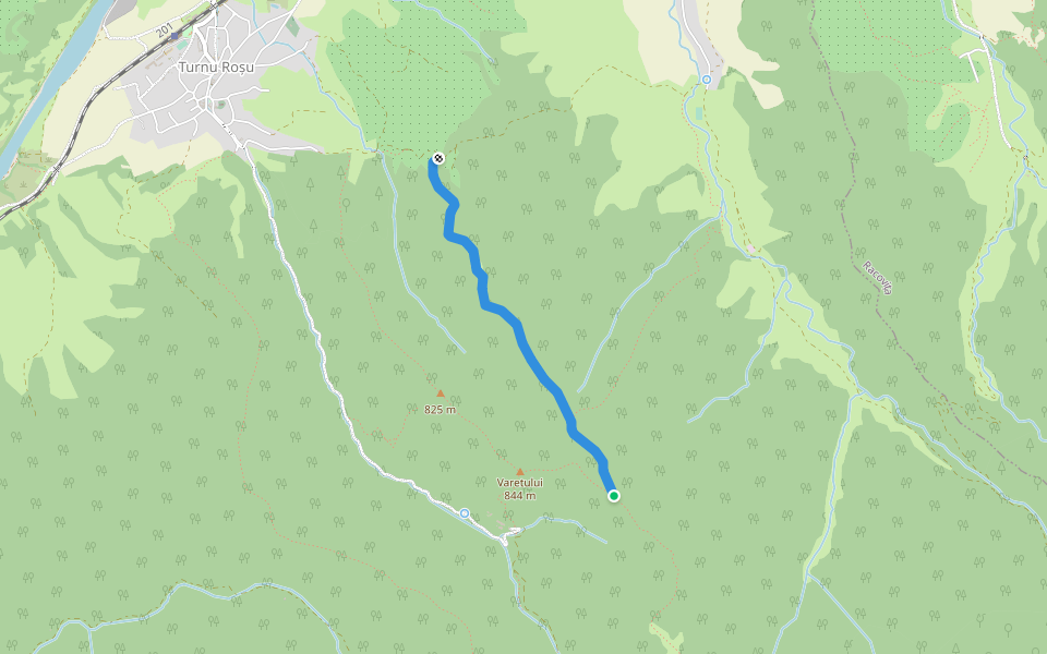 Culmea Fântânii (traseul TA) - traseul PG walking route map in Turnu Roșu
