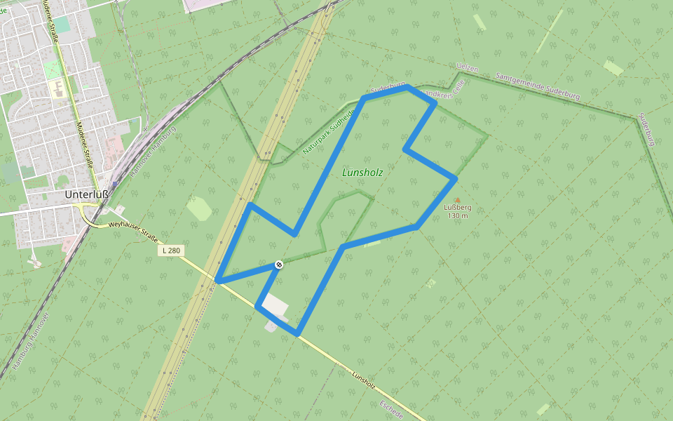 Südheide 'Der Urwald im Lüß' W8k (kurze Tour) walking route map in Südheide