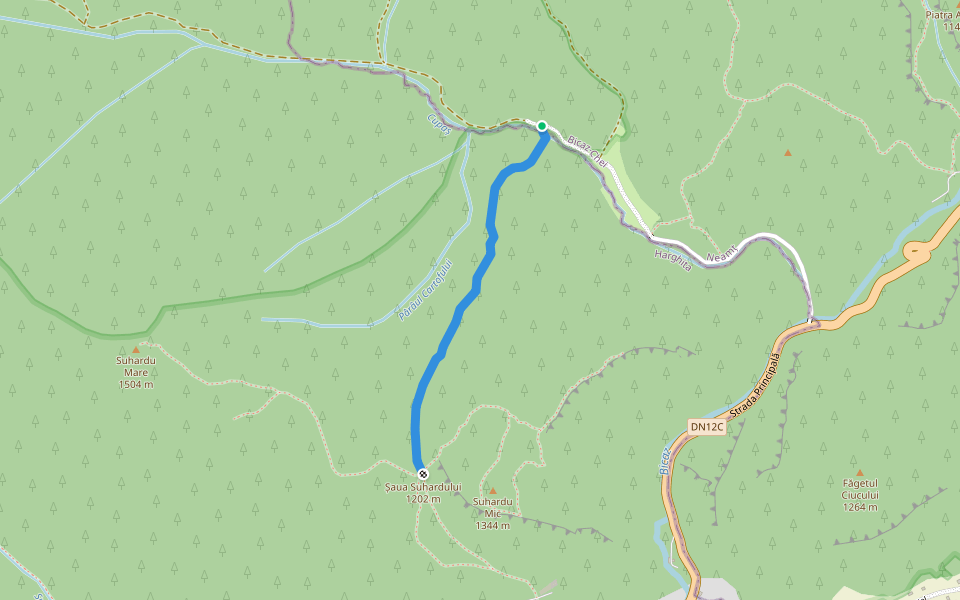 Valea Cupașului - Șaua Suhard walking route map in Bârnadu