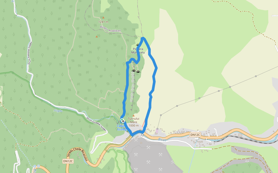 Cabana Ecolog - Peștera Munticelu - Cabana Ecolog walking route map in Bicaz-Chei