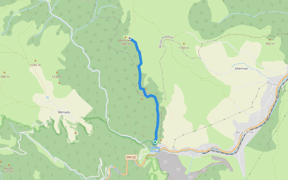 Cabana Ecolog - Creasta Munticelu - Vf. Munticelu walking route map in Bicaz-Chei