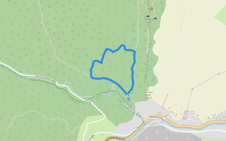 Cabana Ecolog - Piatra Șugăului - Cabana Ecolog walking route map in Bicaz-Chei