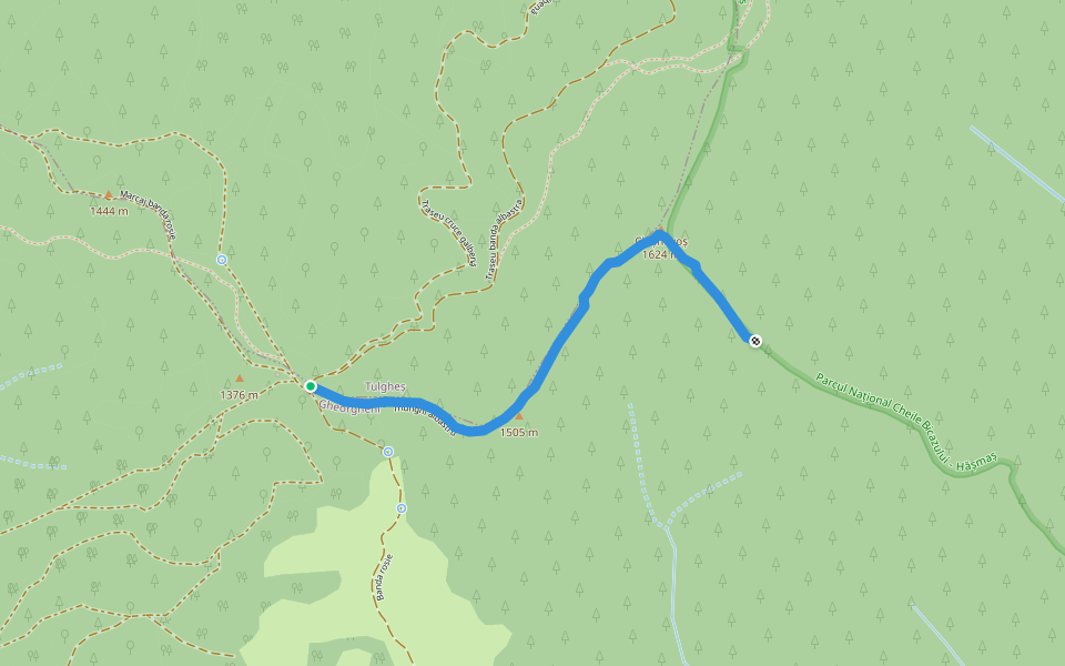 Șaua Niergheș - belvedere Vf. Danțurașul Mic walking route map in Lacu Roșu
