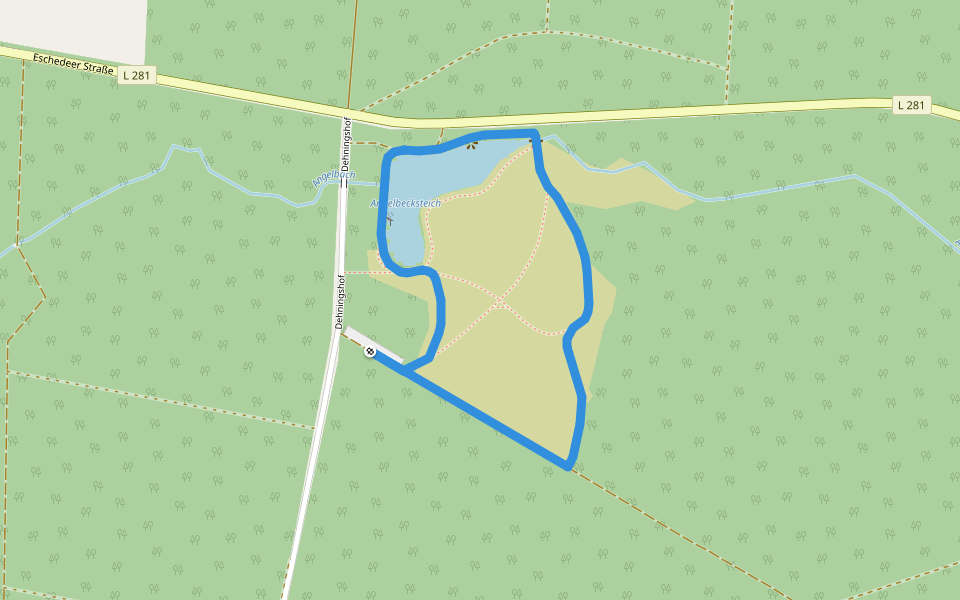 Südheide 'Auf den Spuren des großen Waldbrandes' W11k (kurze Tour) walking route map in Südheide