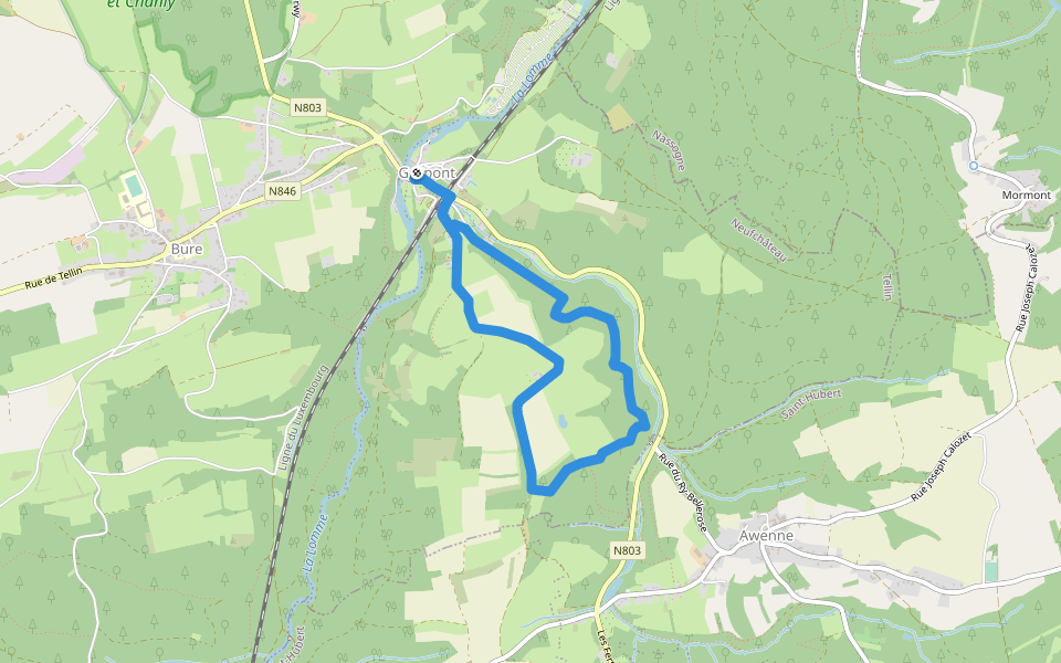 TL04 Variante de la promenade du Bois de Machi walking route map in Tellin