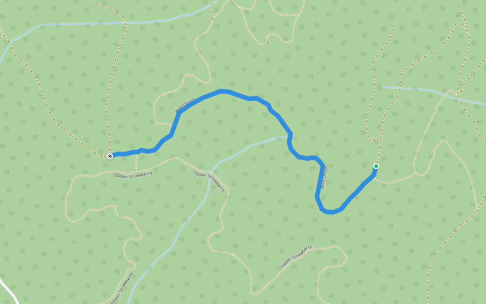 Wild Onion walking route map in Lillooet