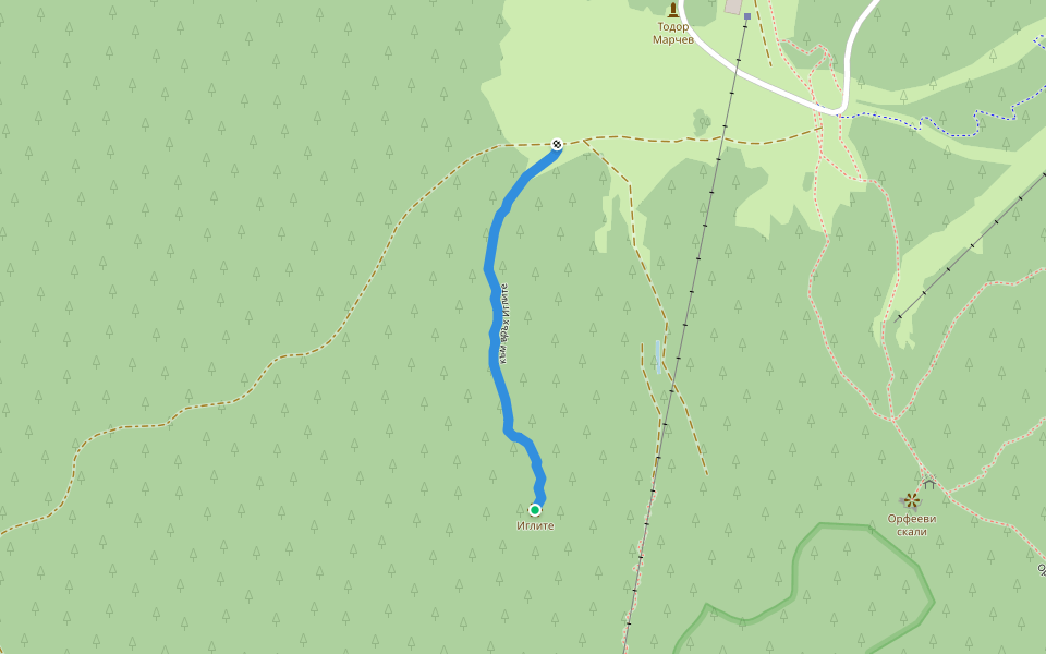 към връх Иглите walking route map in Koshnitsa