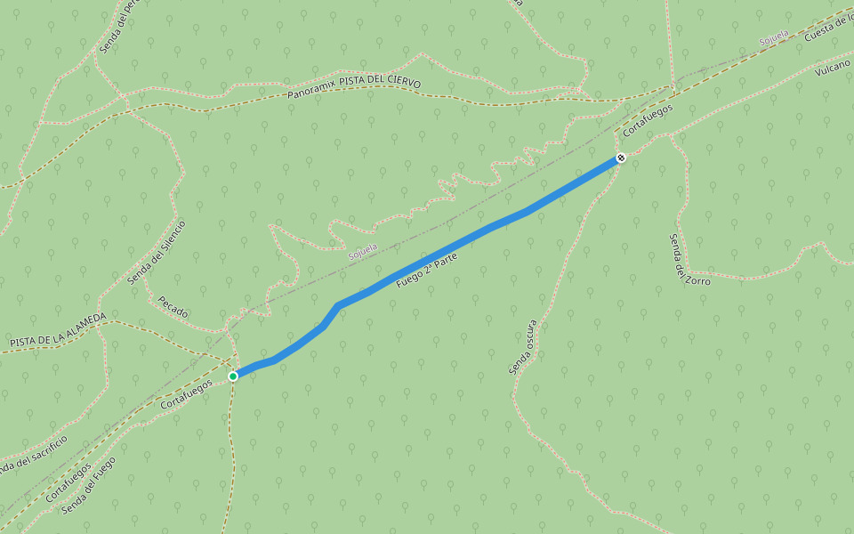 Fuego 2ª Parte walking route map in Sorzano