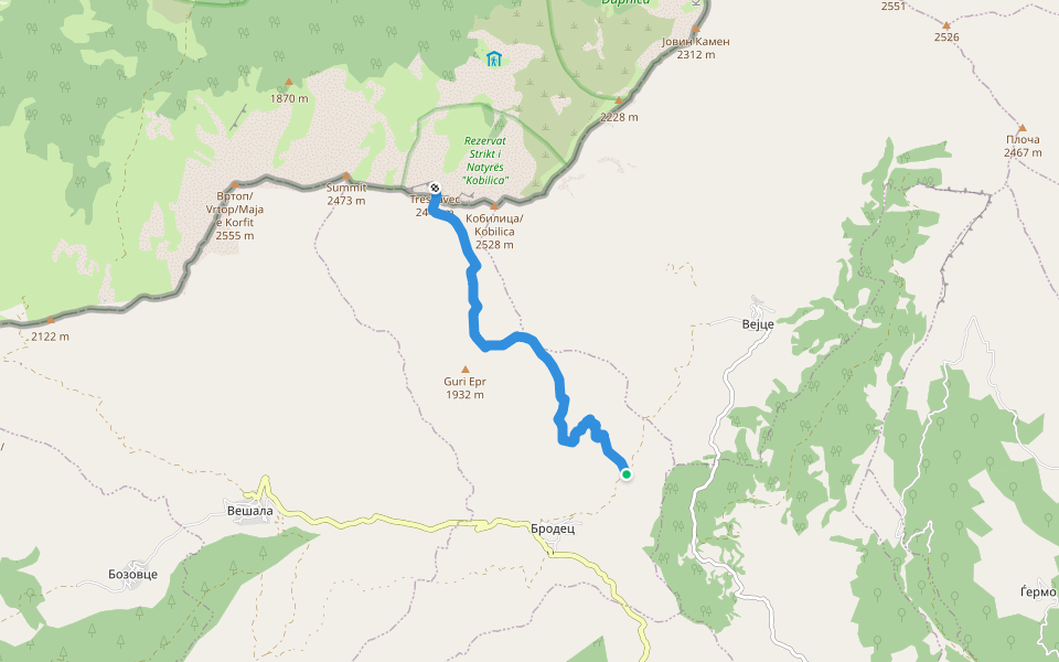 To Peak Treskavec walking route map in Brodets