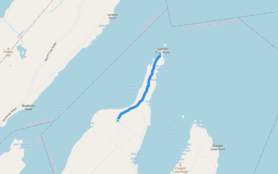 Harbour Main Lighthouse Trail walking route map in Harbour Main