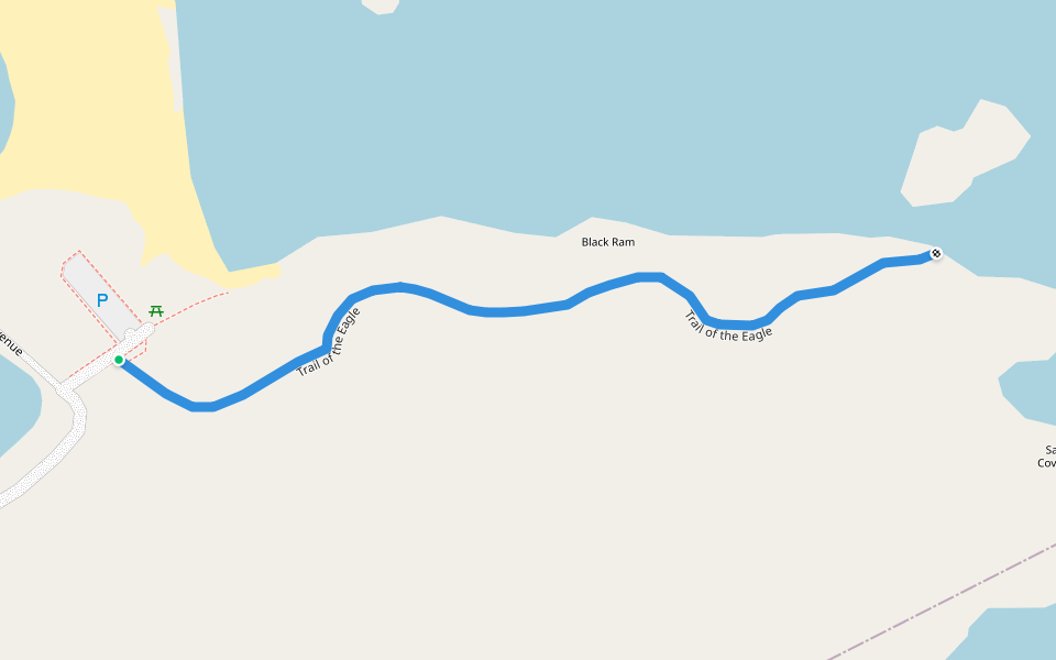 Trail of the Eagle walking route map in Salmon Cove