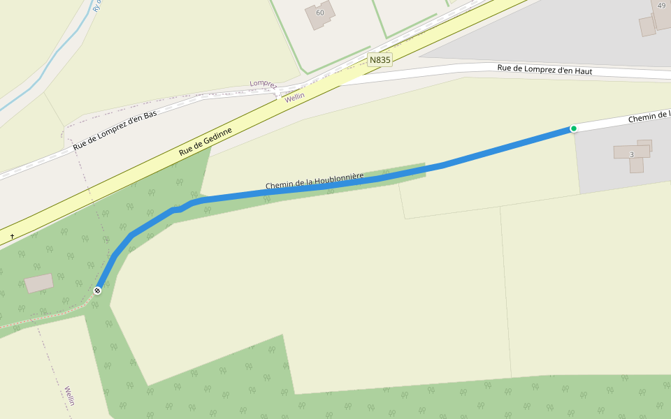 chemin de la Houblonnière walking route map in Wellin