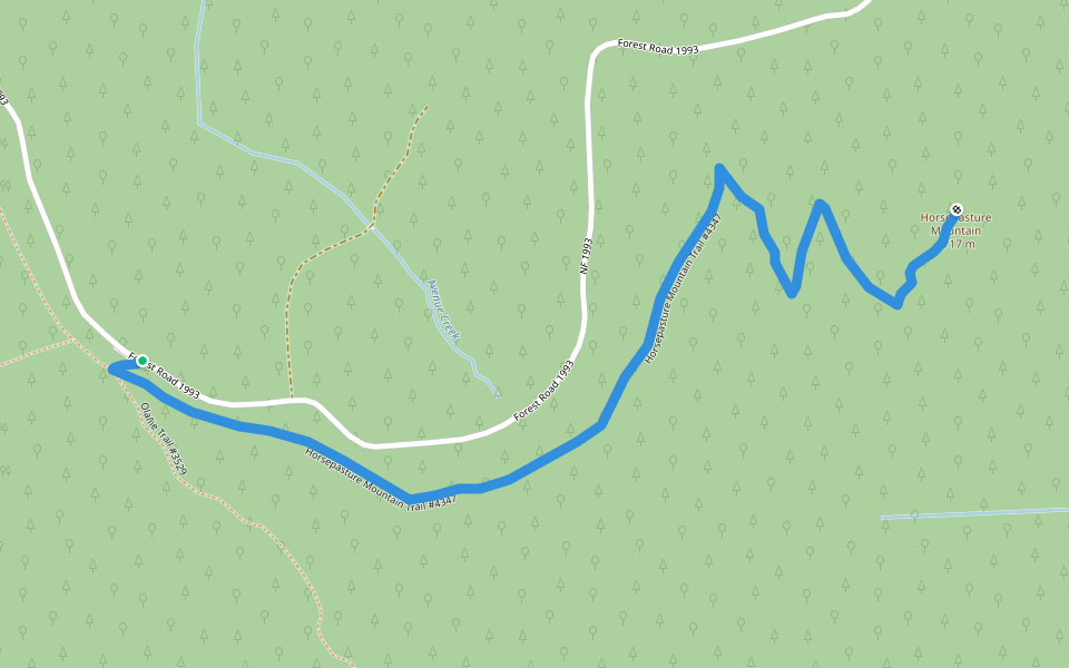 Horsepasture Mountain Trail #4347 walking route map in Foley Springs