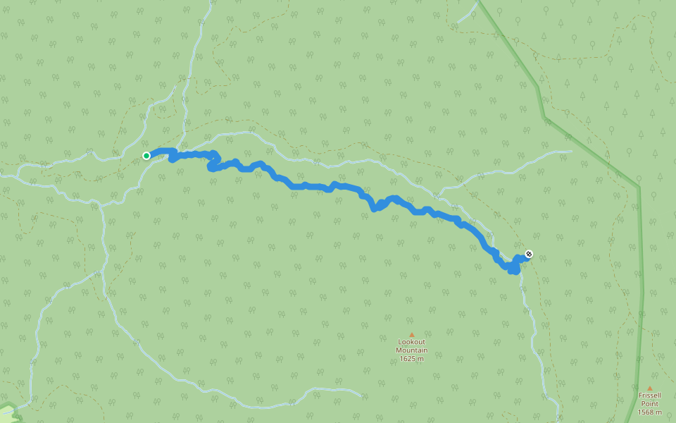 Lookout Creek Old Growth Trail walking route map in McKenzie Bridge