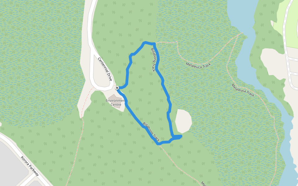 Billabong Track walking route map in Pottsville