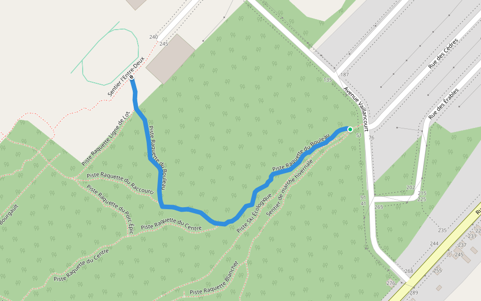 Piste Raquette du Bouleau walking route map in Saint-Pamphile