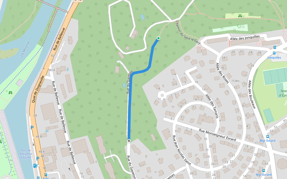 Rue du Gayeton walking route map in Épinal