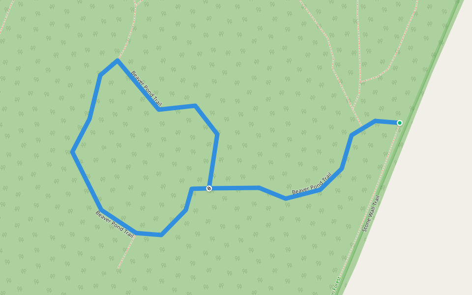 Beaver Pond Trail walking route map in Westford