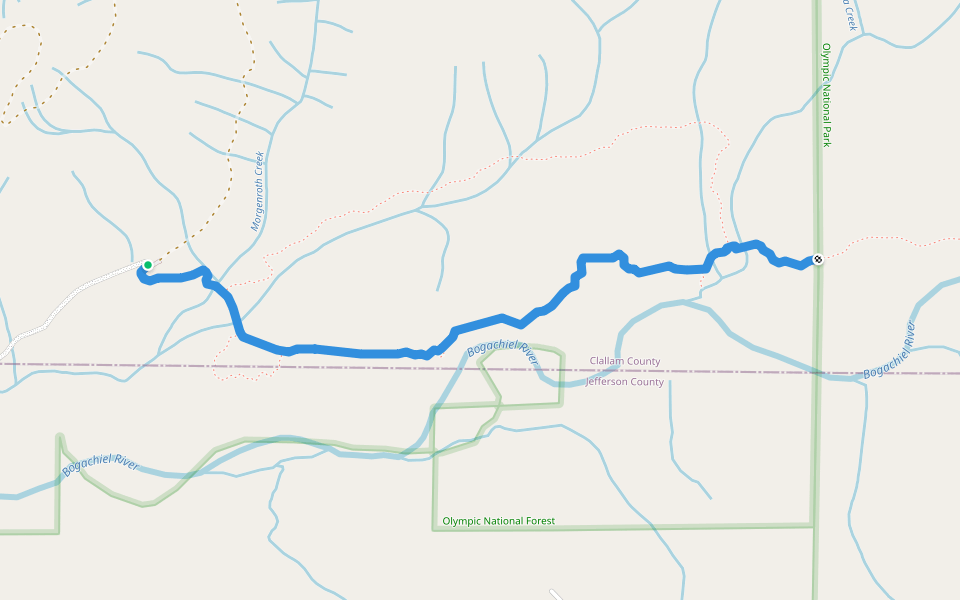 Bogachiel Rain Forest Trail