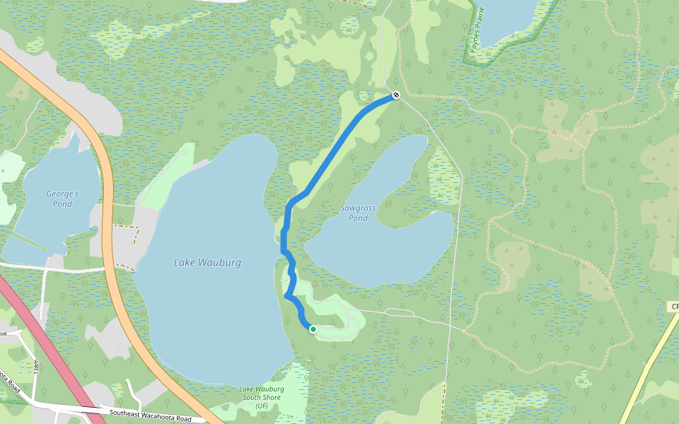 Lake Trail walking route map in Micanopy