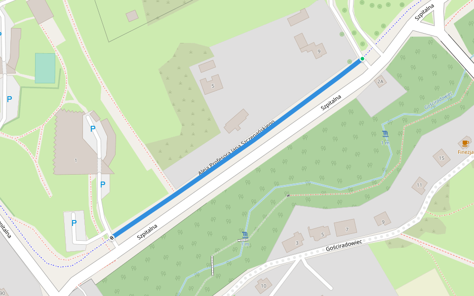 Aleja Profesora Jana Szczepańskiego walking route map in Ustroń