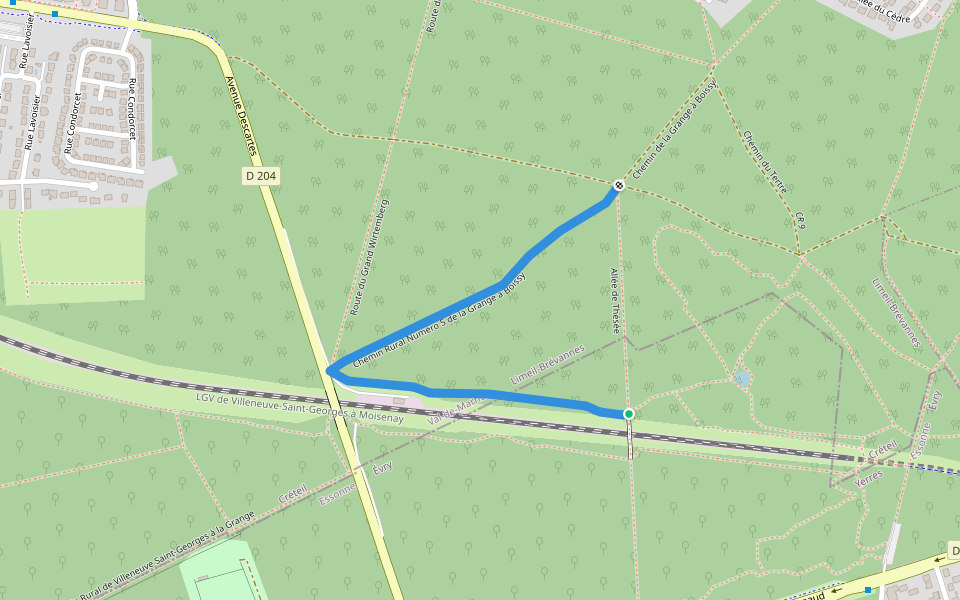 Chemin Rural Numéro 5 de la Grange à Boissy walking route map in Yerres