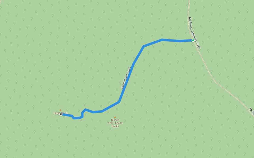 Eagle Point Track walking route map in Mount Buffalo