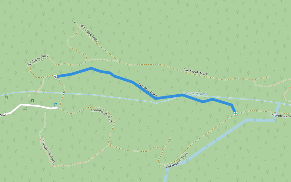 Lyrebird Track walking route map in Healesville