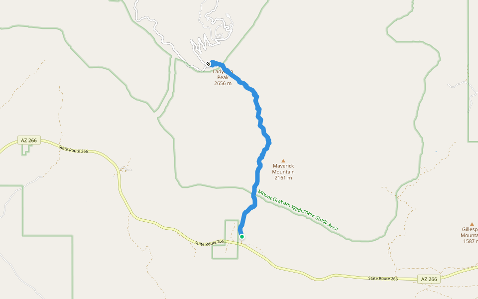 Bear Canyon Trail #299 walking route map in Safford