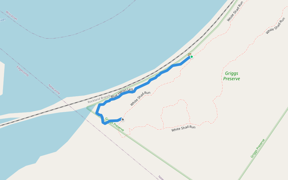 Blue Heron Leg walking route map in Newcastle
