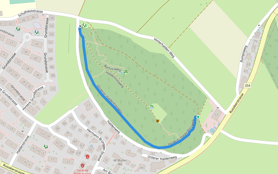 Vorderer Haldenholzweg walking route map in Fehraltorf