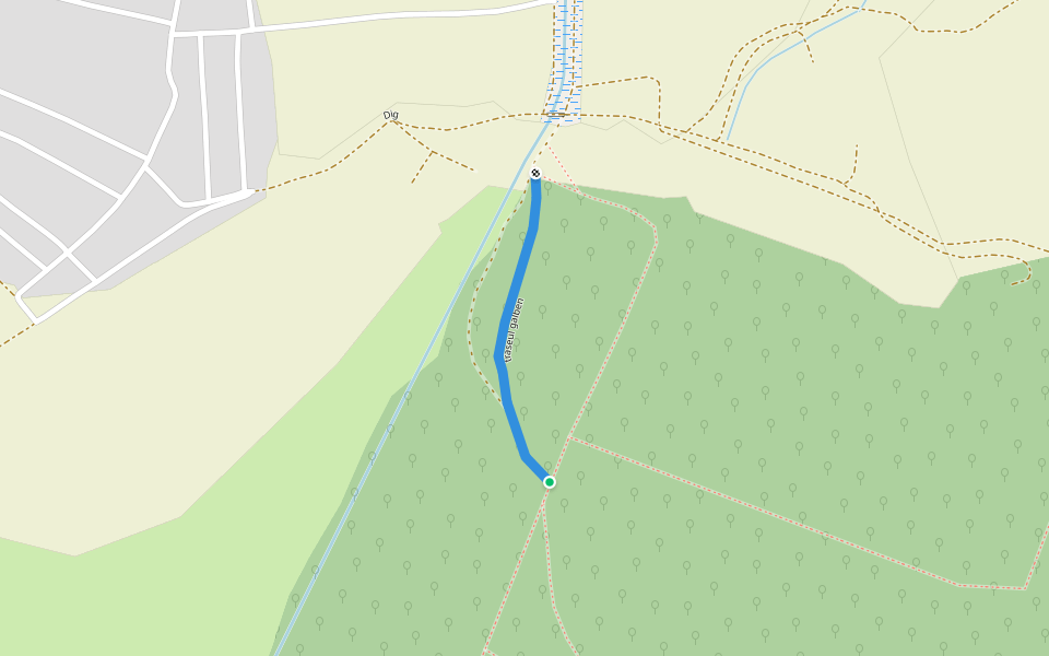 traseul galben walking route map in Pecica