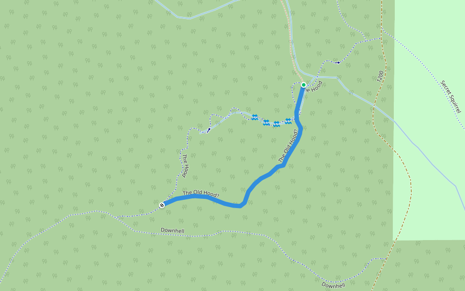 The Old Hood? walking route map in Kingston