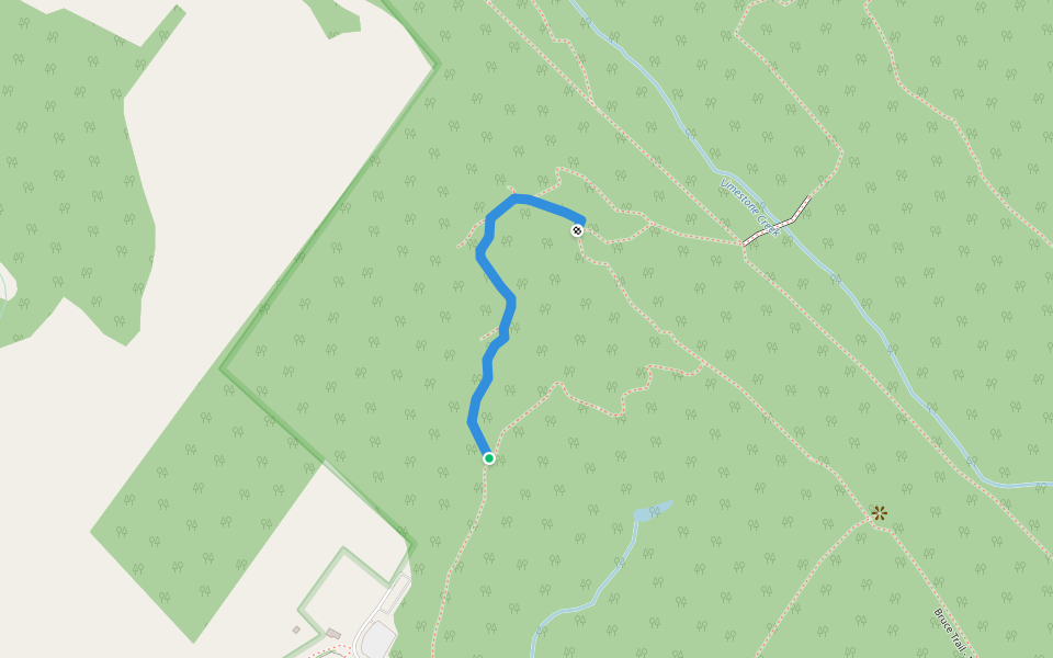 Crawford Lake Side Trail