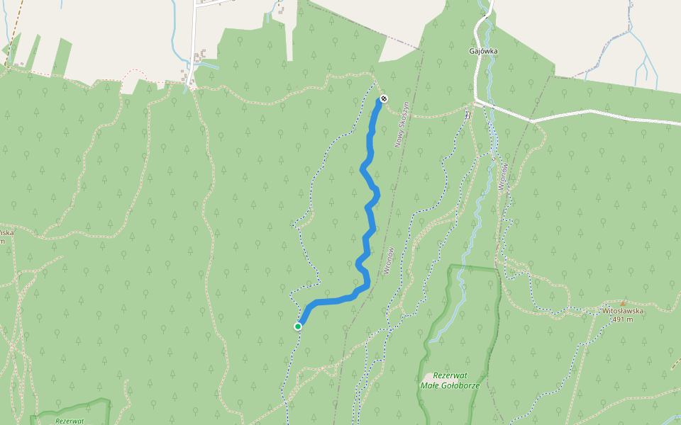 Singletrack Jeleniowskie Ścieżki - Dzik walking route map in Nieskurzów Stary