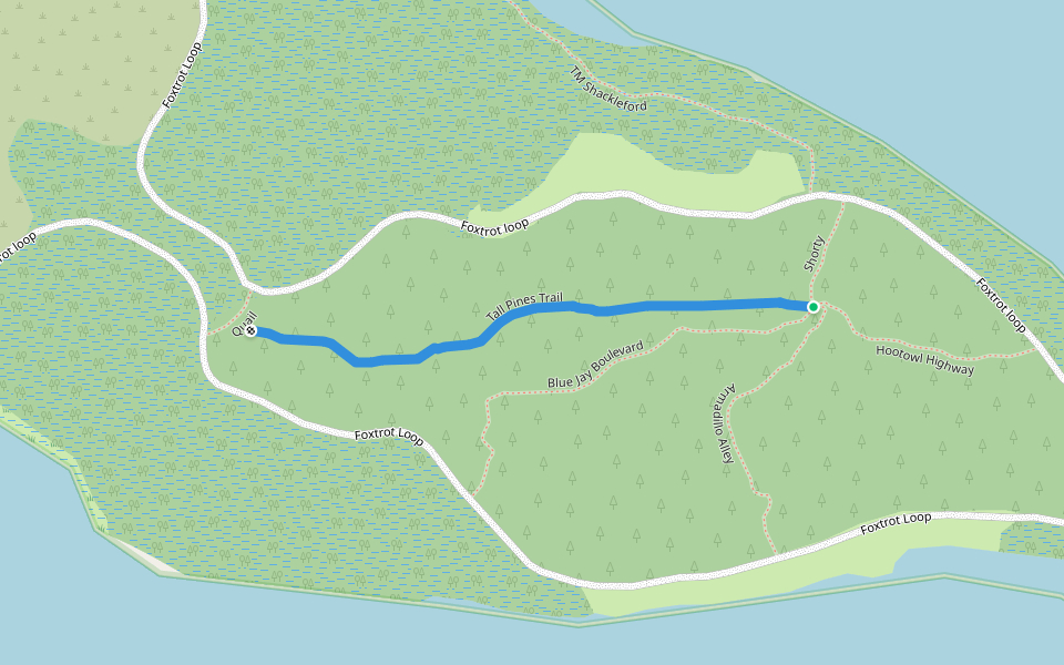 Tall Pines Trail walking route map in Ocklawaha