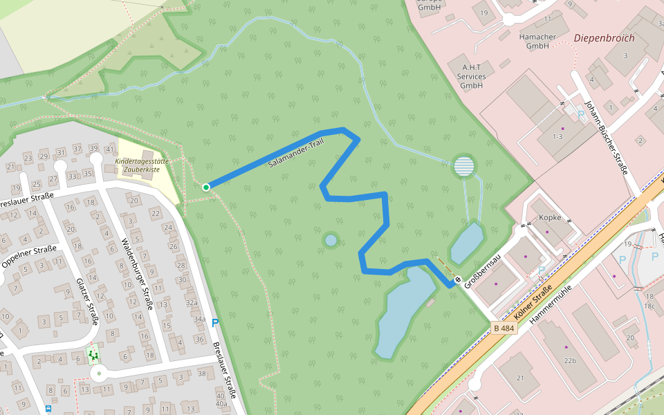 Salamander-Trail walking route map in Overath