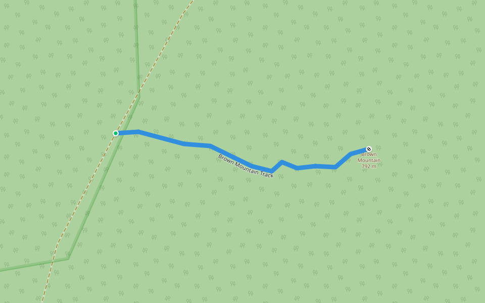 Brown Mountain Track walking route map in Runnymede