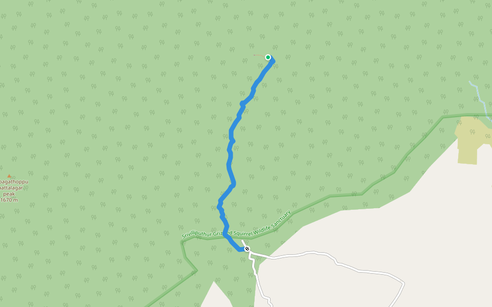 காட்டழகர் கோவில் பாதை walking route map in Singammalpuram