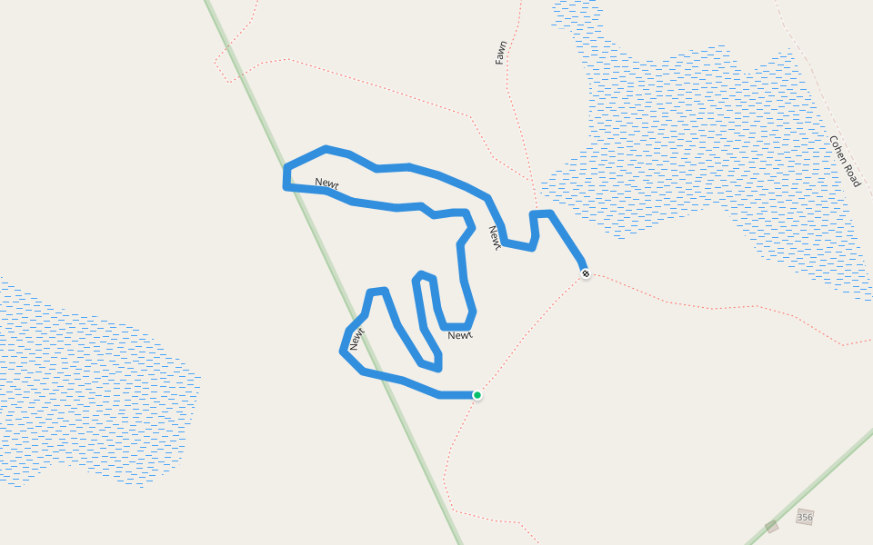 Newt walking route map in Greenfield Center