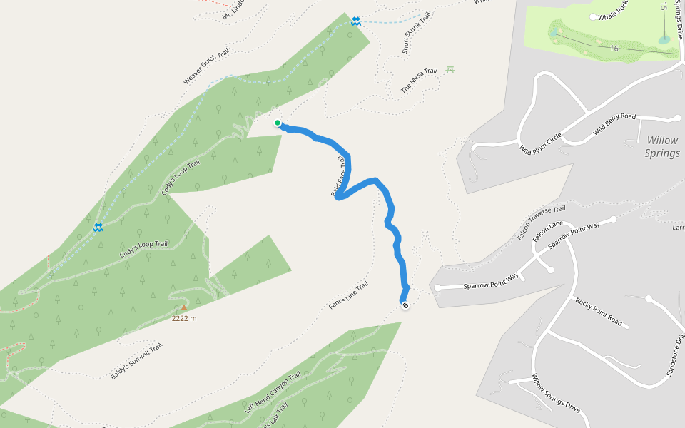Bald Face Trail walking route map in Morrison