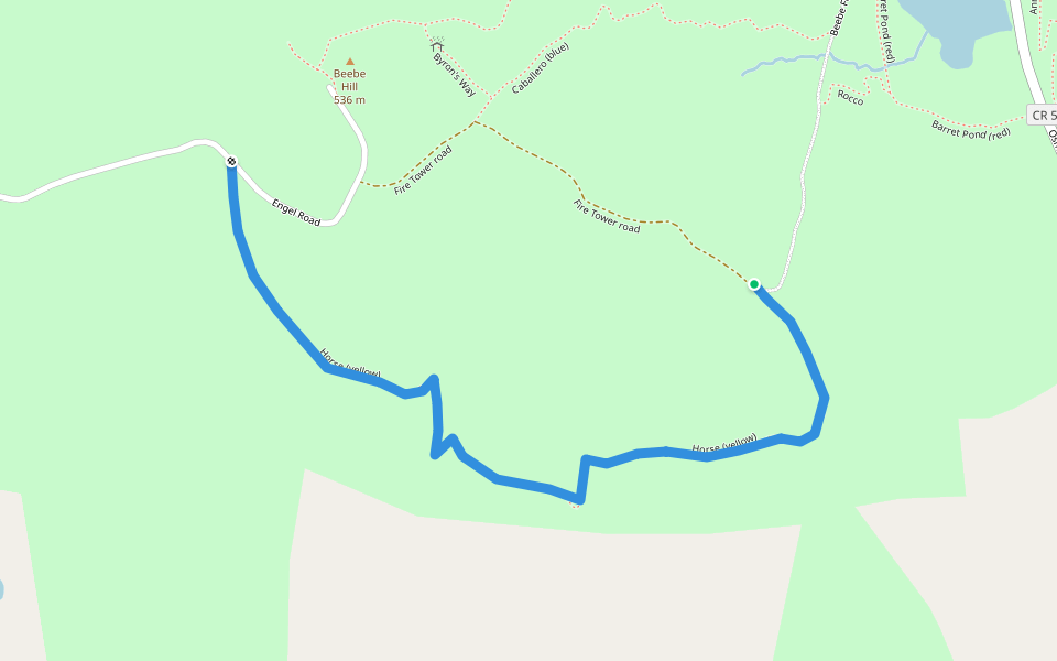 Horse (yellow) walking route map in Chatham