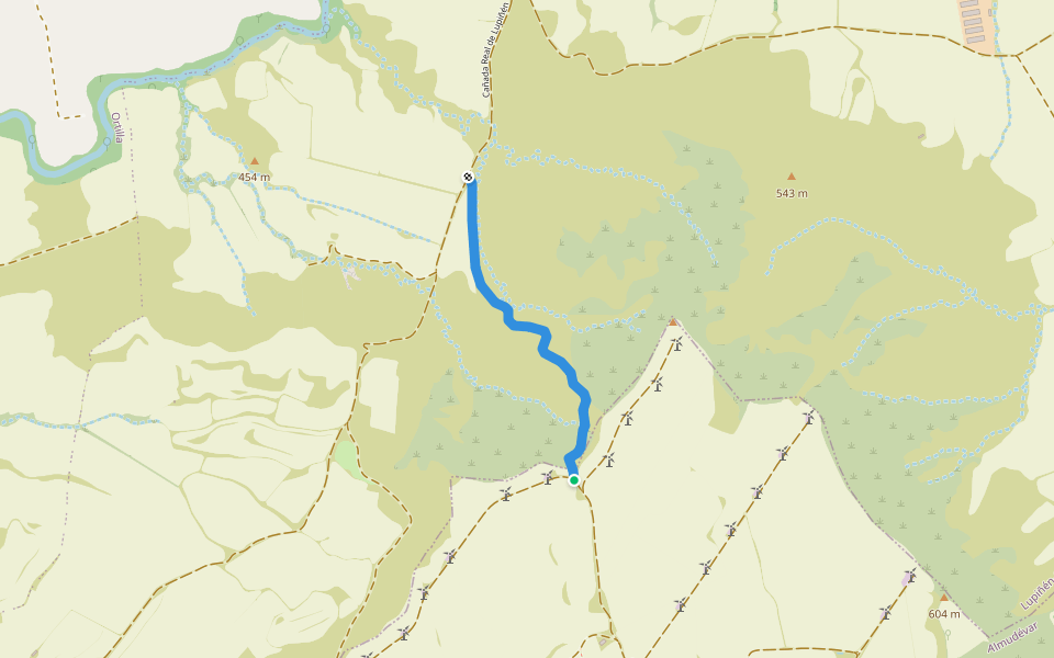 Cañada Real de Lupiñén walking route map in Almudévar