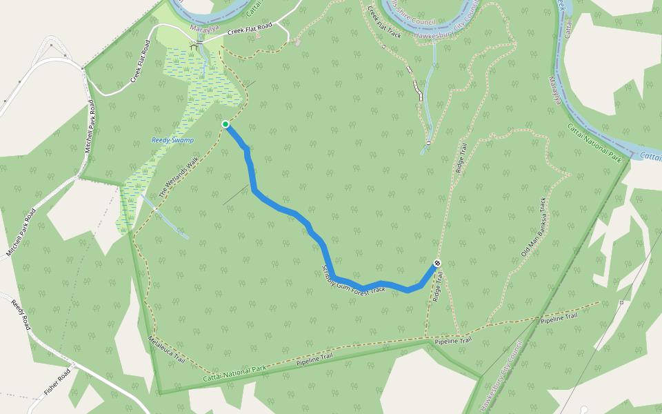 Scribbly Gum Forest Track walking route map in Maraylya