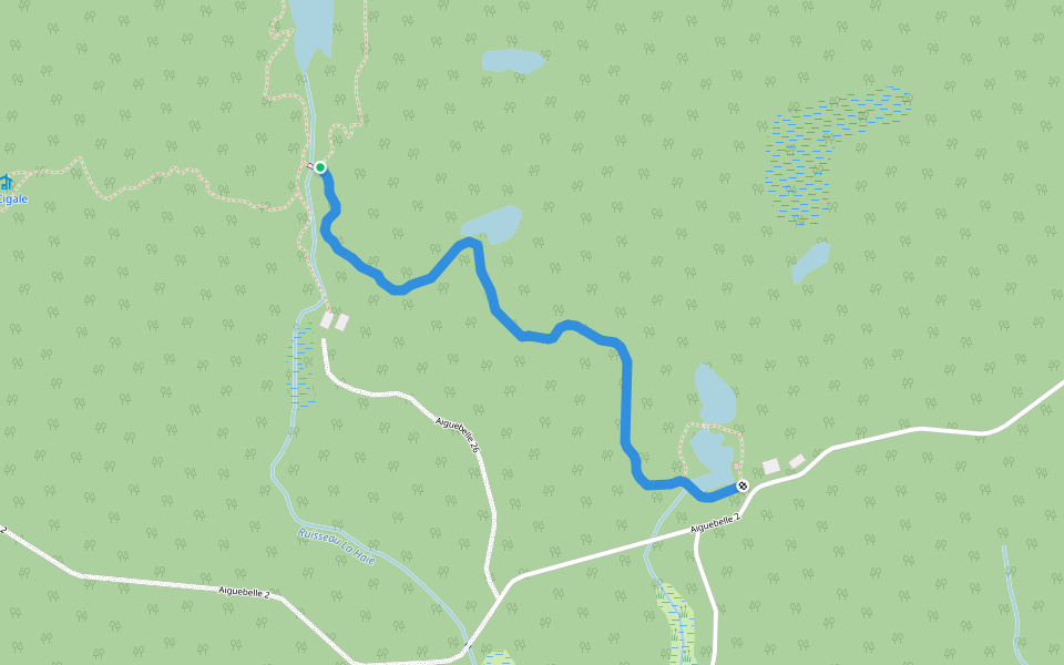 La Salamandre