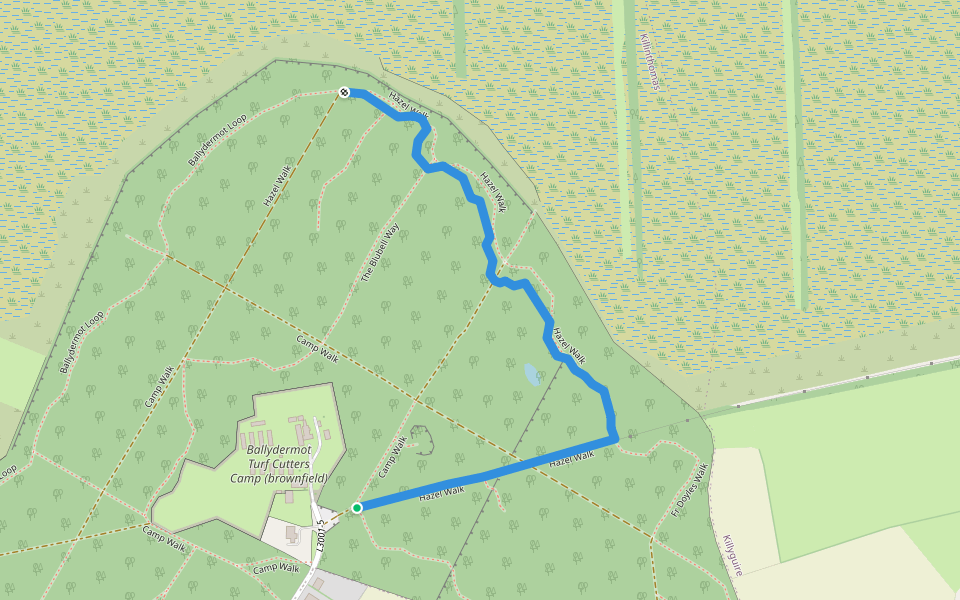 Hazel Walk walking route map in Rathangan