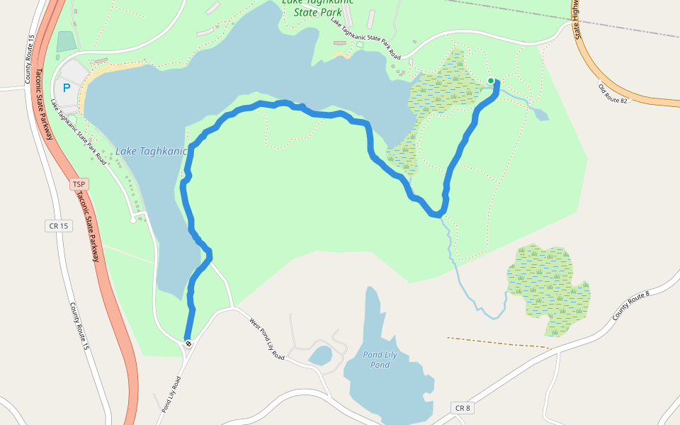 Lake Trail Lake Taghkanic (white) walking route map in Ancram