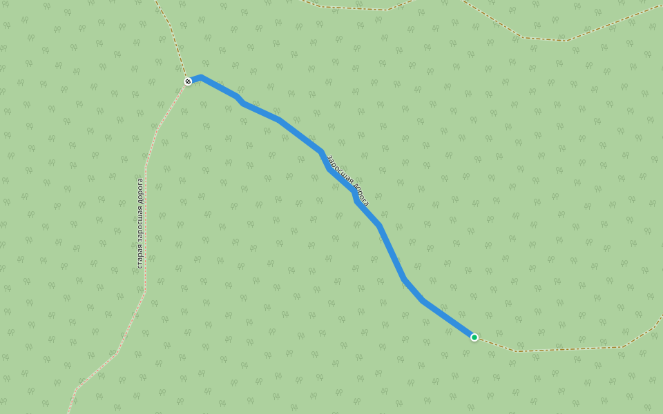 заросшая дорога walking route map in Novosadovyy
