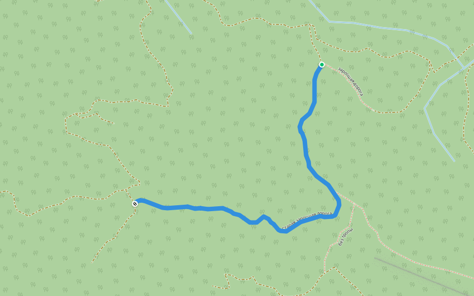 старая заросшая дорога walking route map in Novosadovyy