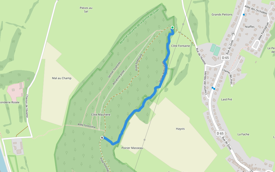 Sentier Arboretum walking route map in Rancennes